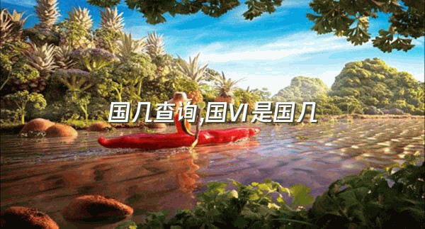 国几查询,国Ⅵ是国几