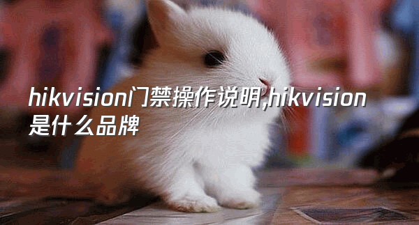 hikvision门禁操作说明,hikvision是什么品牌