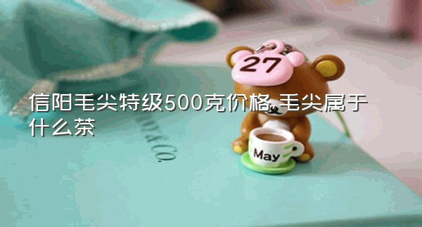 信阳毛尖特级500克价格,毛尖属于什么茶