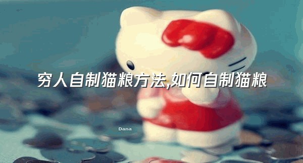 穷人自制猫粮方法,如何自制猫粮