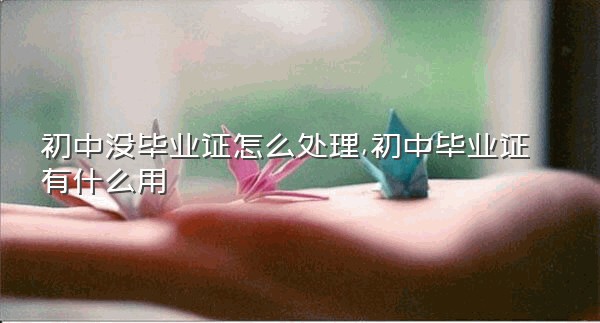 初中没毕业证怎么处理,初中毕业证有什么用