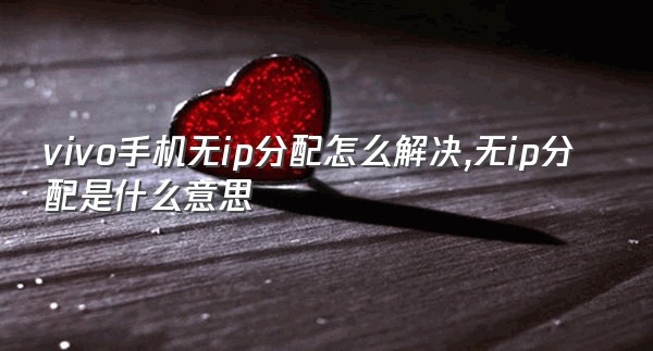 vivo手机无ip分配怎么解决,无ip分配是什么意思