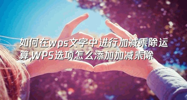 如何在wps文字中进行加减乘除运算,WPS选项怎么添加加减乘除