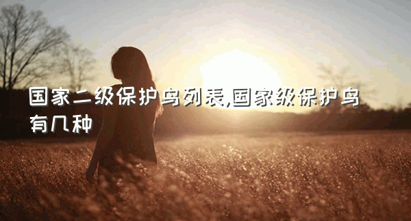 国家二级保护鸟列表,国家级保护鸟有几种