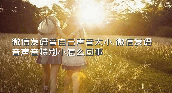 微信发语音自己声音太小,微信发语音声音特别小怎么回事