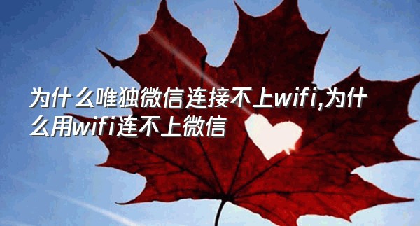 为什么唯独微信连接不上wifi,为什么用wifi连不上微信