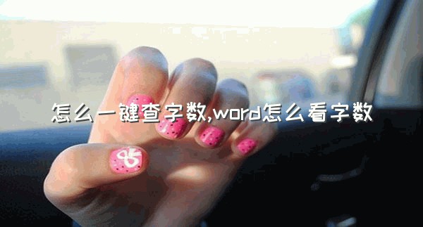 怎么一键查字数,word怎么看字数