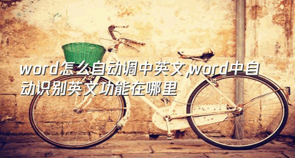 word怎么自动调中英文,word中自动识别英文功能在哪里