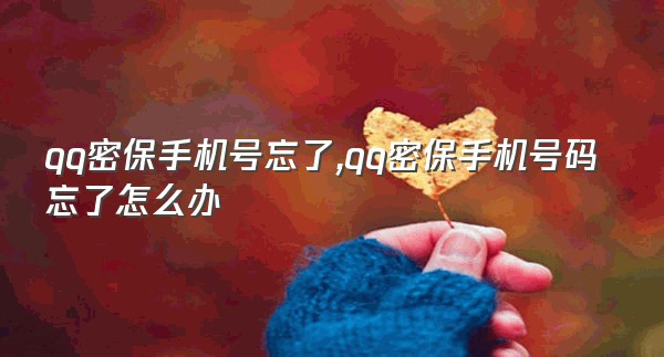 qq密保手机号忘了,qq密保手机号码忘了怎么办