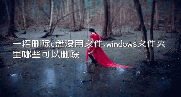 一招删除c盘没用文件,windows文件夹里哪些可以删除