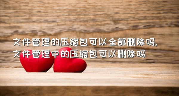 文件管理的压缩包可以全部删除吗,文件管理中的压缩包可以删除吗