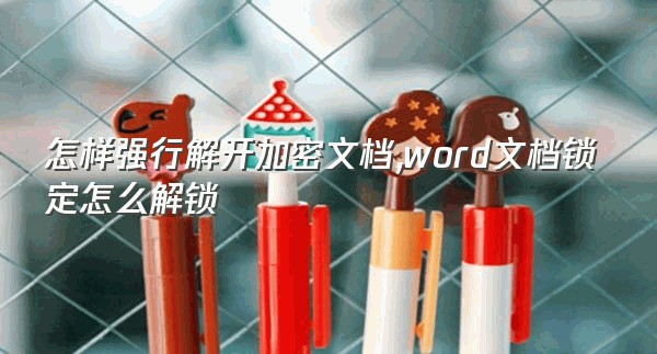 怎样强行解开加密文档,word文档锁定怎么解锁