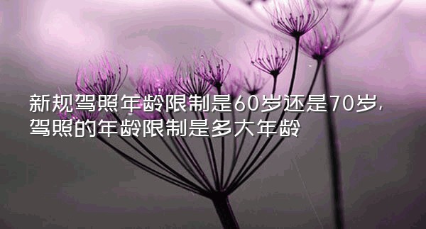 新规驾照年龄限制是60岁还是70岁,驾照的年龄限制是多大年龄