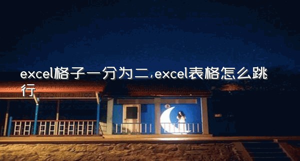 excel格子一分为二,excel表格怎么跳行