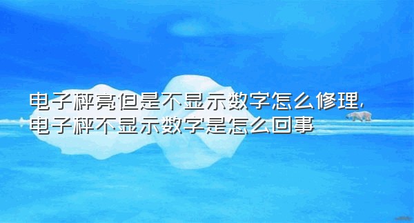 电子秤亮但是不显示数字怎么修理,电子秤不显示数字是怎么回事