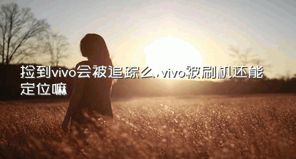 捡到vivo会被追踪么,vivo被刷机还能定位嘛