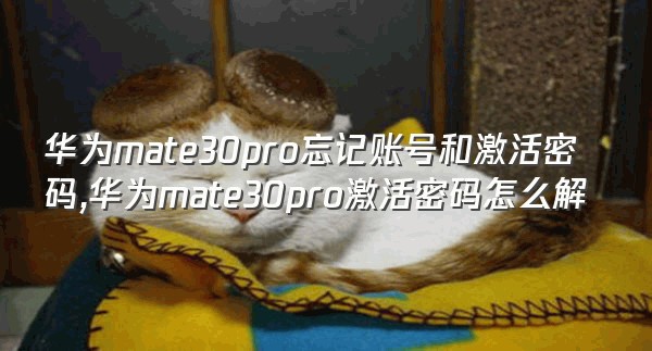 华为mate30pro忘记账号和激活密码,华为mate30pro激活密码怎么解