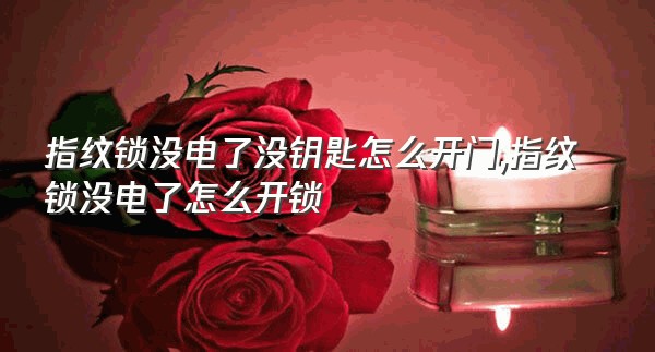 指纹锁没电了没钥匙怎么开门,指纹锁没电了怎么开锁