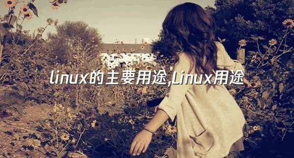 linux的主要用途,Linux用途