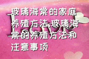 玻璃海棠的家庭养殖方法（玻璃海棠的养殖方法和注意事项）