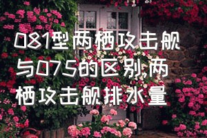 081型两栖攻击舰与075的区别（两栖攻击舰排水量）