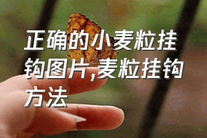 正确的小麦粒挂钩图片（麦粒挂钩方法）