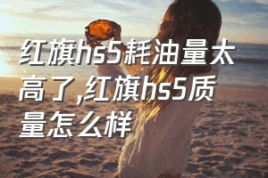 红旗hs5耗油量太高了（红旗hs5质量怎么样）