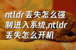 ntldr丢失怎么强制进入系统（ntldr丢失怎么开机）