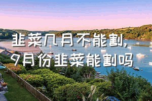 韭菜几月不能割（9月份韭菜能割吗）