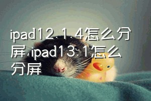 ipad12.1.4怎么分屏（ipad13.1怎么分屏）