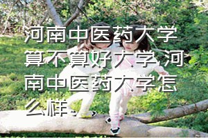 河南中医药大学算不算好大学（河南中医药大学怎么样）