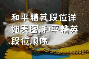 和平精英段位详细表图（和平精英段位顺序）