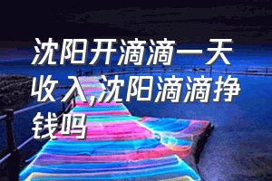 沈阳开滴滴一天收入（沈阳滴滴挣钱吗）