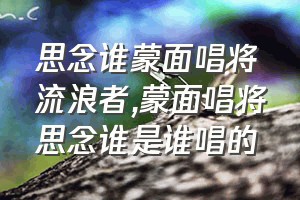 思念谁蒙面唱将流浪者（蒙面唱将思念谁是谁唱的）