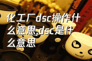 化工厂dsc操作什么意思（dsc是什么意思）