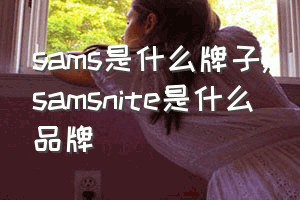 sams是什么牌子（samsnite是什么品牌）