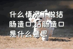 什么情况下做结肠造口（结肠造口是什么意思）