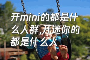 开mini的都是什么人群（开迷你的都是什么人）