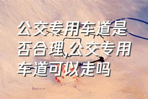 公交专用车道是否合理（公交专用车道可以走吗）