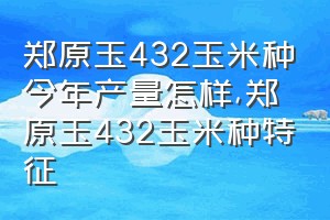 郑原玉432玉米种今年产量怎样（郑原玉432玉米种特征）