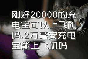 刚好20000的充电宝可以上飞机吗（2万毫安充电宝能上飞机吗）