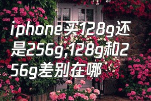 iphone买128g还是256g（128g和256g差别在哪）