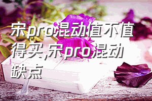 宋pro混动值不值得买（宋pro混动缺点）