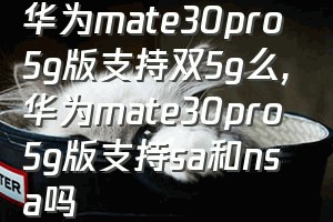 华为mate30pro5g版支持双5g么（华为mate30pro5g版支持sa和nsa吗）