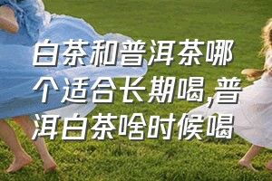 白茶和普洱茶哪个适合长期喝（普洱白茶啥时候喝）