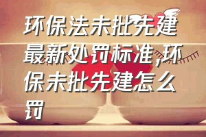 环保法未批先建最新处罚标准（环保未批先建怎么罚）