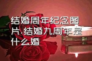 结婚周年纪念图片（结婚九周年是什么婚）