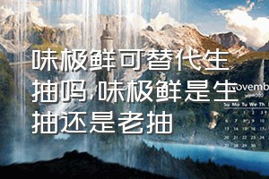 味极鲜可替代生抽吗（味极鲜是生抽还是老抽）