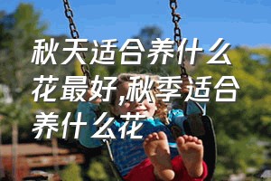 秋天适合养什么花最好（秋季适合养什么花）