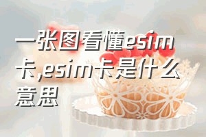 一张图看懂esim卡（esim卡是什么意思）